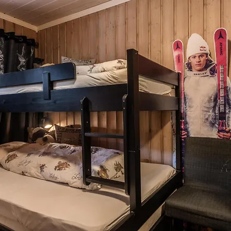 Geilotunet - Close To Everything, Free Parking In Garage, Ev * Geilo